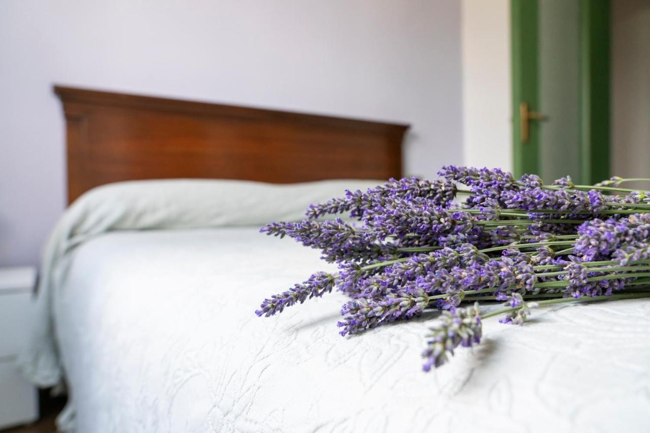 Lago Maggiore A 10 Minuti "Cascina Lavanda" Casalzuigno Экстерьер фото