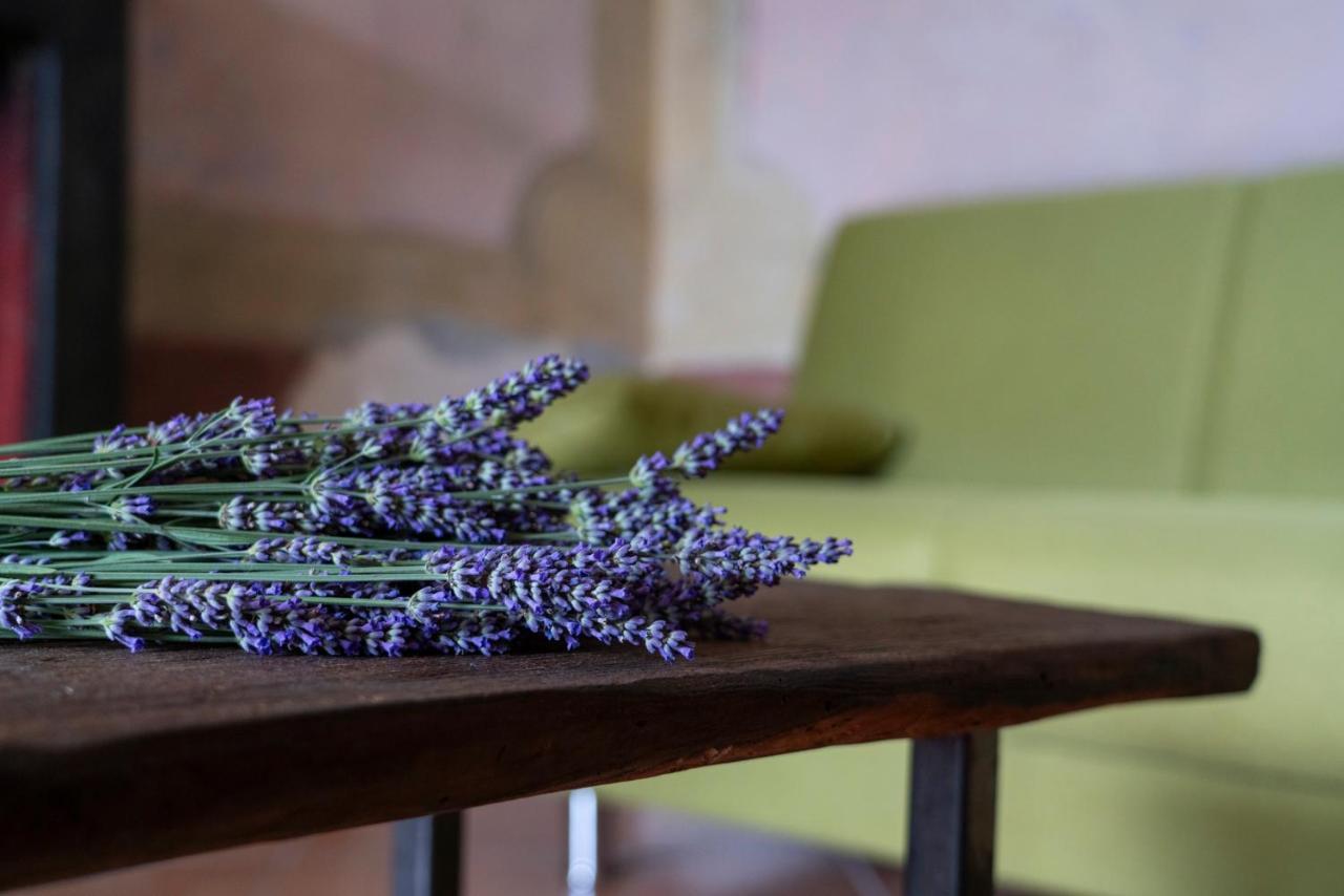 Lago Maggiore A 10 Minuti "Cascina Lavanda" Casalzuigno Экстерьер фото